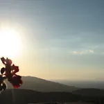 Il Canto Dei Venti Montecorice