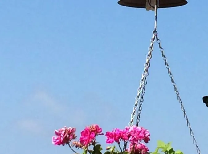 Il Canto Dei Venti Pensión Montecorice